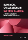Numerical Calculations in Clifford Algebra By Andrew Seagar Cover Image