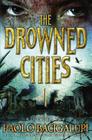 The Drowned Cities Cover Image