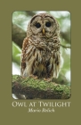 Owl at Twilight By Mario Relich Cover Image