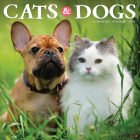 Cats & Dogs 2025 12 X 12 Wall Calendar By Willow Creek Press Cover Image