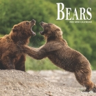 Bears: 2021 Calendar Cover Image