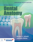 Woelfel's Dental Anatomy, Enhanced Edition By Rickne C. Scheid, Gabriela Weiss Cover Image
