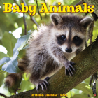Baby Animals 2024 12 X 12 Wall Calendar By Willow Creek Press Cover Image