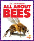 All about Bees By Karen Kenney, N/A (Illustrator) Cover Image
