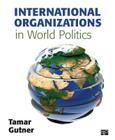 International Organizations in World Politics By Tamar L. Gutner Cover Image