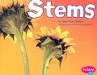 Stems By Vijaya Khisty Bodach, Gail Saunders-Smith (Editor) Cover Image