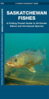 Saskatchewan Fishes: A Folding Pocket Guide to All Known Natuve and Introduced Species Cover Image