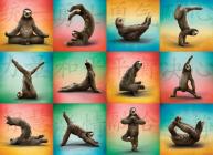 Sloth Yoga 1000-Piece Puzzle By Willow Creek Press Cover Image