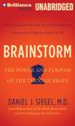 Brainstorm: The Power and Purpose of the Teenage Brain By Daniel J. Siegel, Daniel J. Siegel (Read by) Cover Image