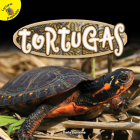 Tortugas: Turtles (Reptiles!) By Darla Duhaime Cover Image