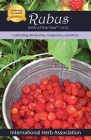 Rubus: Herb of the Year(TM) 2020: Celebrating Blackberries, Raspberries & More! By Gert Coleman (Editor) Cover Image