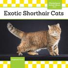 Exotic Shorthair Cats Cover Image