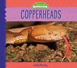 Copperheads (Animal Kingdom) By Julie Murray Cover Image