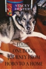 Eddie: One Dog's Journey from Hobo to a Home By Stacey L. Dexter Cover Image
