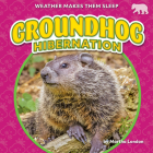 Groundhog Hibernation By Martha London Cover Image