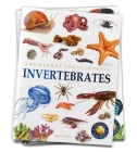 Animals: Invertebrates (Knowledge Encyclopedia For Children) Cover Image