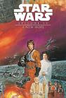 Episode IV: A New Hope: Vol.4 (Star Wars) By Bruce Jones, Eduardo Barreto (Illustrator) Cover Image