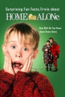Surprising Fun Facts, Trivia about Home Alone: How Well Do You Know about Home Alone: Home Alone Things You Might not Know By Michael Roks Cover Image