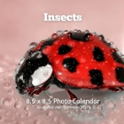Insects 8.5 X 8.5 Photo Calendar September 2021 -December 2022: Monthly Calendar with U.S./UK/ Canadian/Christian/Jewish/Muslim Holidays- Insects Natu Cover Image