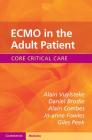 ECMO in the Adult Patient (Core Critical Care) By Alain Vuylsteke, Daniel Brodie, Alain Combes Cover Image