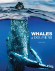 Whales & Dolphins Cover Image