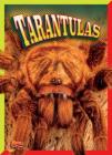 Tarantulas (Crawly Creatures) By Marty Gitlin Cover Image