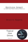 Restless Spirit: The Holy Spirit from a Process Perspective (Topical Line Drives #48) By Bruce G. Epperly Cover Image