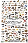 Poemanimalia: El Mundo Animal Hecho Poesía Cover Image