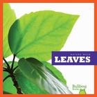 Leaves (Nature Walk) By Rebecca Stromstad Glaser Cover Image