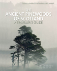 The Ancient Pinewoods of Scotland: A Traveller's Guide By Clifton Bain, Darren Rees (Illustrator), Vanessa Collingridge (Foreword by) Cover Image