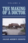 The Making of a Doctor By Julius Adebiyi Sodipo Cover Image
