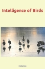 Intelligence of Birds By Nature and Human Studies, Collection Cover Image