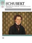 Schubert -- Allegro in a Minor, Op. 144 (Lebensstürme): Book & CD (Alfred Masterwork CD Edition) By Franz Schubert (Composer), Maurice Hinson (Composer), Allison Nelson (Composer) Cover Image