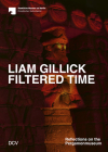 Liam Gillick. Filtered Time By Sam Bardaouil, Barbara Helwing Cover Image