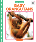 Baby Orangutans (Baby Animals) By Julie Murray Cover Image