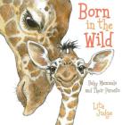 Born in the Wild: Baby Mammals and Their Parents By Lita Judge, Lita Judge (Illustrator) Cover Image