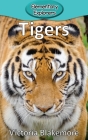 Tigers (Elementary Explorers #22) Cover Image