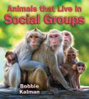 Animals That Live in Social Groups (Big Science Ideas) Cover Image