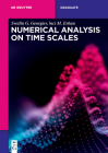Numerical Analysis on Time Scales (de Gruyter Textbook) By Svetlin G. Inci M. Georgiev Erhan Cover Image