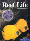 Reef Life By Andrea Ferrari, Antonella Ferrari Cover Image