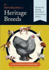An Introduction to Heritage Breeds: Saving and Raising Rare-Breed Livestock and Poultry By D. Phillip Sponenberg, DVM, Jeannette Beranger, Alison Martin Cover Image