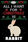 All I Want For Christmas Is Rabbit: Rabbit lovers Appreciation gifts for Xmas, Funny Rabbit Christmas Notebook / Thanksgiving & Christmas Gift By Amazing Winter Press Cover Image