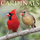 Cardinals 2023 Wall Calendar By Willow Creek Press Cover Image
