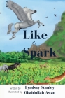 Like a Spark By Lyndsay Stanley, Obaidullah Awan (Illustrator) Cover Image