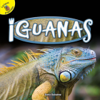 Iguanas: Iguanas (Reptiles!) By Darla Duhaime Cover Image