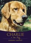 Charlie: A Love Story By Barbara Lampert Cover Image