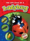 The Life Cycle of a Ladybug (Life Cycles) By Colleen Sexton Cover Image