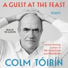 A Guest at the Feast: Essays By Colm Tóibín Cover Image
