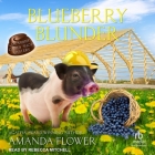 Blueberry Blunder Cover Image
