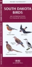 Rhode Island Birds: A Folding Pocket Guide to Familiar Species (Pocket Naturalist Guide) Cover Image